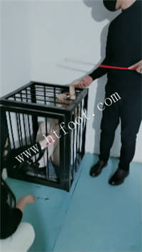 025133btac3bq4p94p34y3.jpg