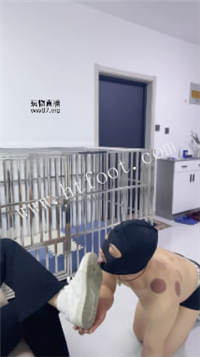 030449mpzsa72sasnkn71p.jpg