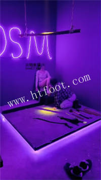 021223yjyc3jpvh3cdhmmk.jpg
