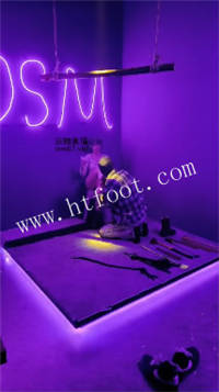 021223ns581lbr3sl0ff5k.jpg