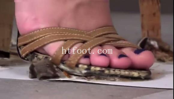 104931vgsatk2sinonrr8k.jpg