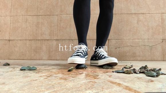111730n735as22c46gsey7.jpg