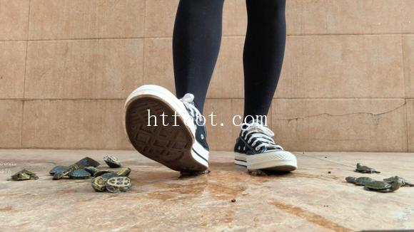 111729ip8eh8k3om0z8rz6.jpg