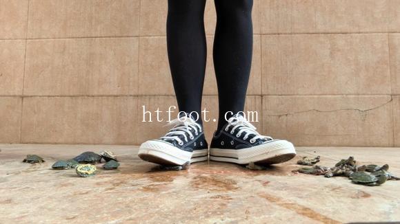 111730tcp1sckk7suu13kp.jpg