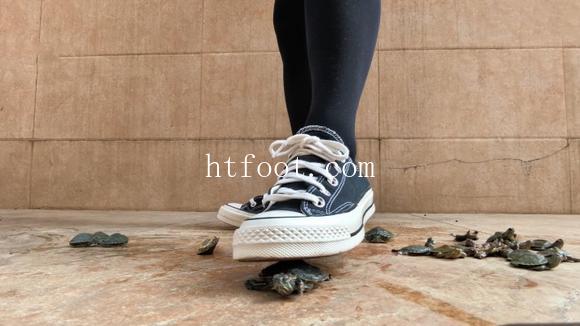 111733pxtesxzne21s0acx.jpg