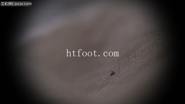 120009eh87fs191vh5871w.jpg