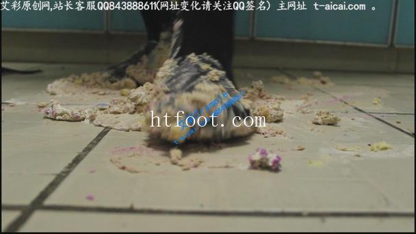 115300f2xuykiezijju878.jpg