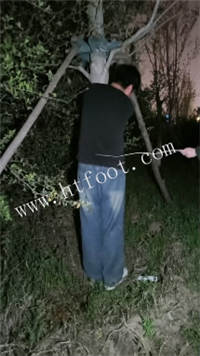 025125gokfbo34klkiwlfz.jpg