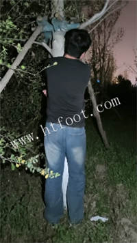 025124mqxbsstxarsxyt1t.jpg