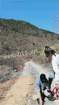 025721wsa9tqpdkew0h3mp.jpg