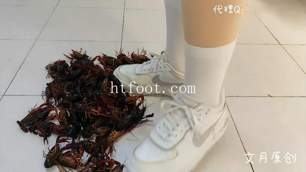 100428qpm1wi53rwmwwm4m.jpg