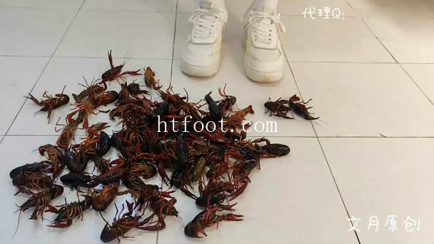 100428lzqkfqfkohrf443z.jpg