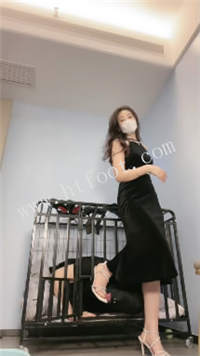 040605ortkjmzlb5uvz9dy.jpg