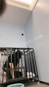 040609z2kmyttn22rxxtng.jpg