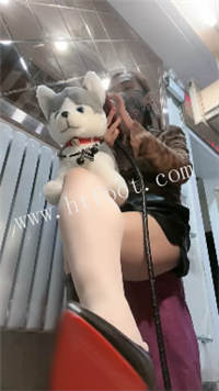 025312spkk11k2usu2lts0.jpg