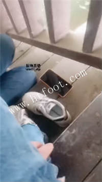 031834baa0enztanv1r45o.jpg