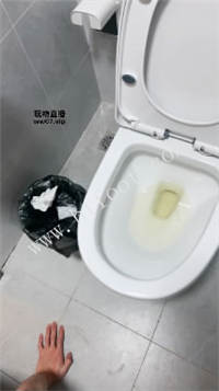 062550g193e6221yad6962.jpg