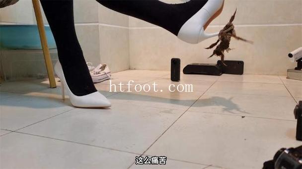 110422xa9aqzdz4g15mtnm.jpg