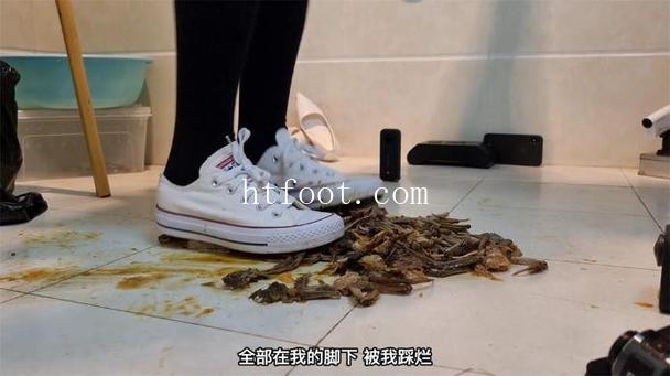 110427rlu6pdd0o67l7o0c.jpg