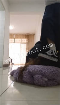 062841rszbse2kzbnlkj2e.jpg