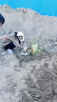 003531rasyqnbqa4y4vqqs.jpg