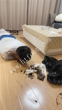 054950ezryejytm2e72yjg.jpg