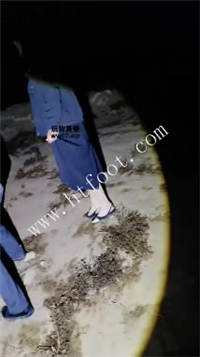 025327sw9fu0s0elsmtjlm.jpg