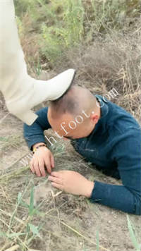 025822xikbtm2rre4ttmki.jpg