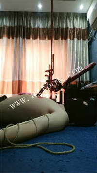 012708we5tsca4sv3255cx.jpg