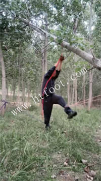 074024utphiztuuwwi55wf.jpg