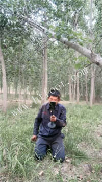 074024lauazr3mtu5h8g03.jpg