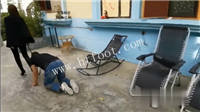 094830lkd8pjigzsw1swpb.jpg