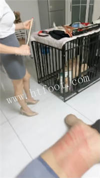 104838rk4o4fptbb1z4mej.jpg