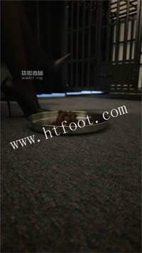 151807d8hqhoxmh6rxxrph.jpg