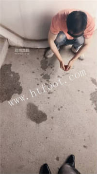 132929tdl4gts6f0f20ocs.jpg