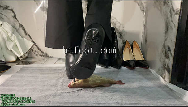 101121onefz8mehil8ckn8.jpg
