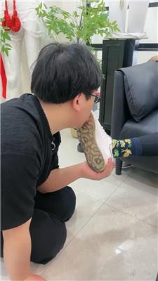 2ukrip11fvj.jpg