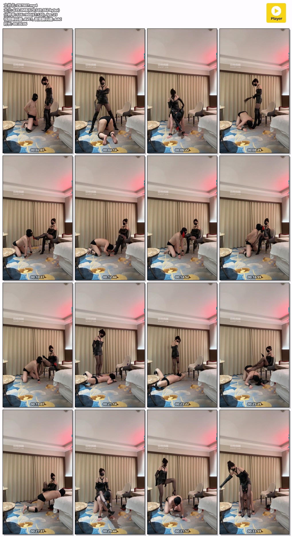 ZB7807.mp4.jpg