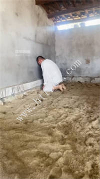 035745xbj4bkokhyenyckq.jpg
