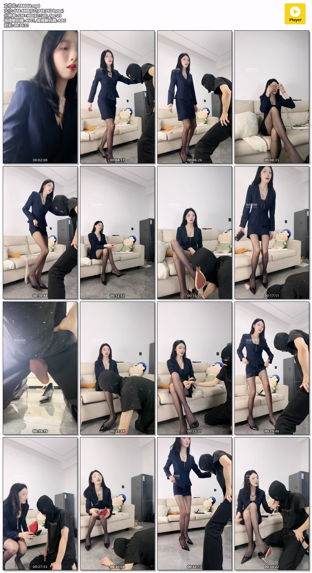 ZB8044.mp4.jpg