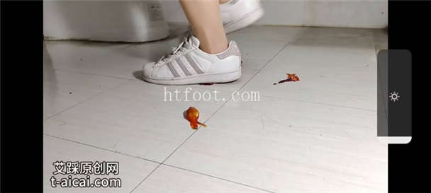 160403mv0bt44yf90f8ztf.jpg