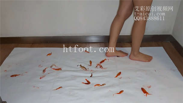 105435fsfjs1ntrd24d4kd.jpg