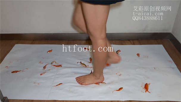 105435bls8qld4sqd4d4ki.jpg