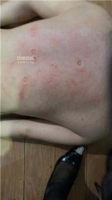 etvn2ueh53m.jpg