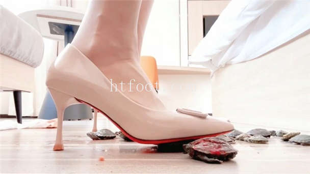 125953xf8wwoa33wuj1orc.jpg