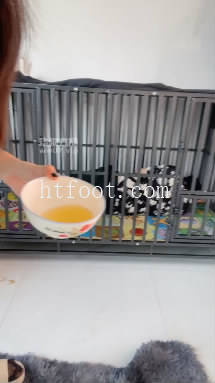 154830zweg2ll00pqetmgm.jpg
