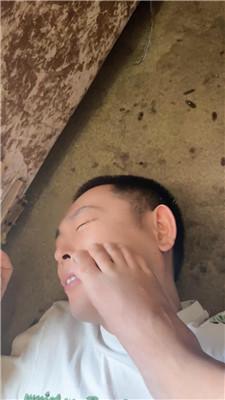 drqzuiwmeug.jpg