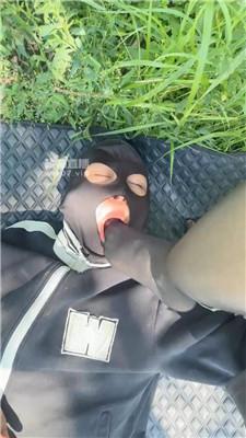 34cvizu00s4.jpg