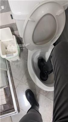 bbdepiya4sh.jpg