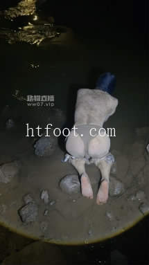164851d55z2660gel3753u.jpg